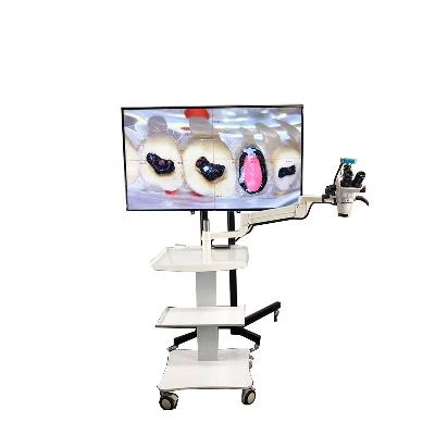 ENT Microscope - with Video Camera""
